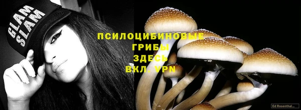 прущие крисы Лихославль