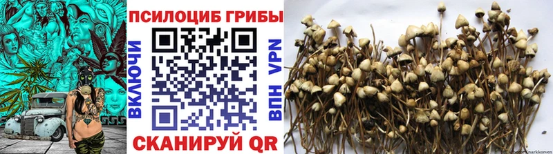 Галлюциногенные грибы Cubensis  Теберда 